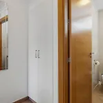 Sunny In The Center, 5 Min. From The *