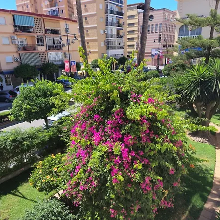 Sunny In The Center, 5 Min. From The