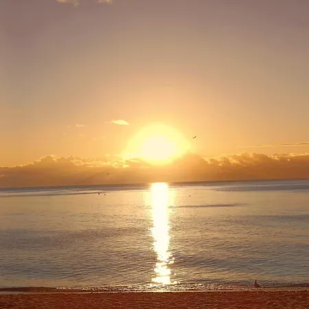 Sunny In The Center, 5 Min. From The Appartement