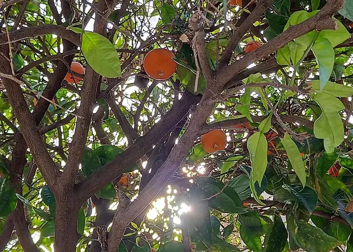 Sunny In The Center, 5 Min. From The *