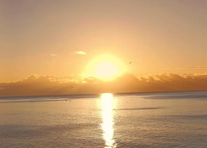 Sunny In The Center, 5 Min. From The Lägenhet